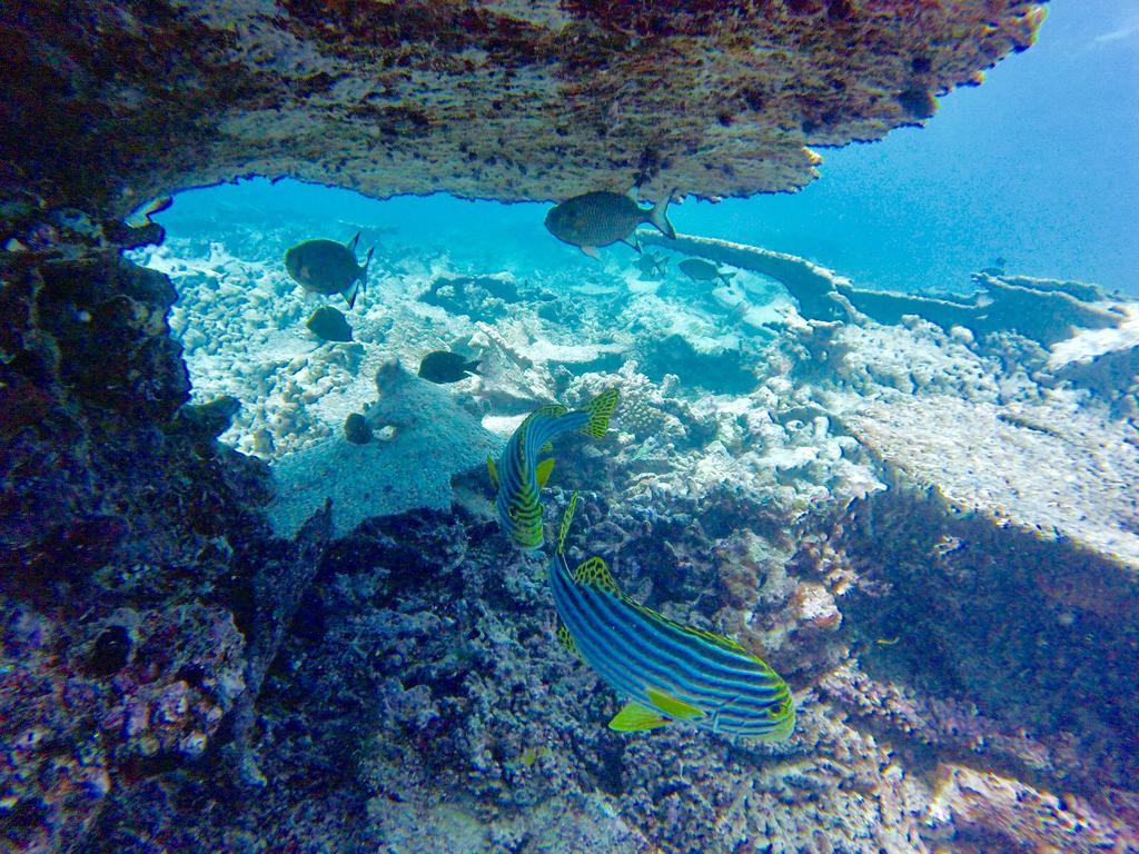 Island Home Inn Ukulhas Buitenkant foto